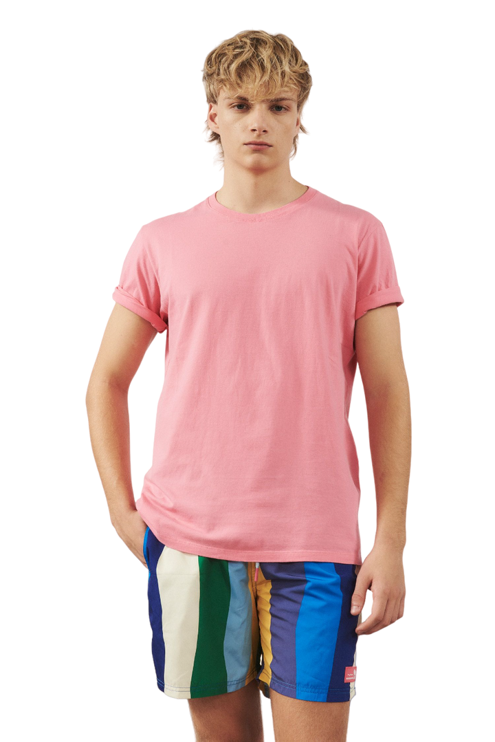 REMERA COLORS