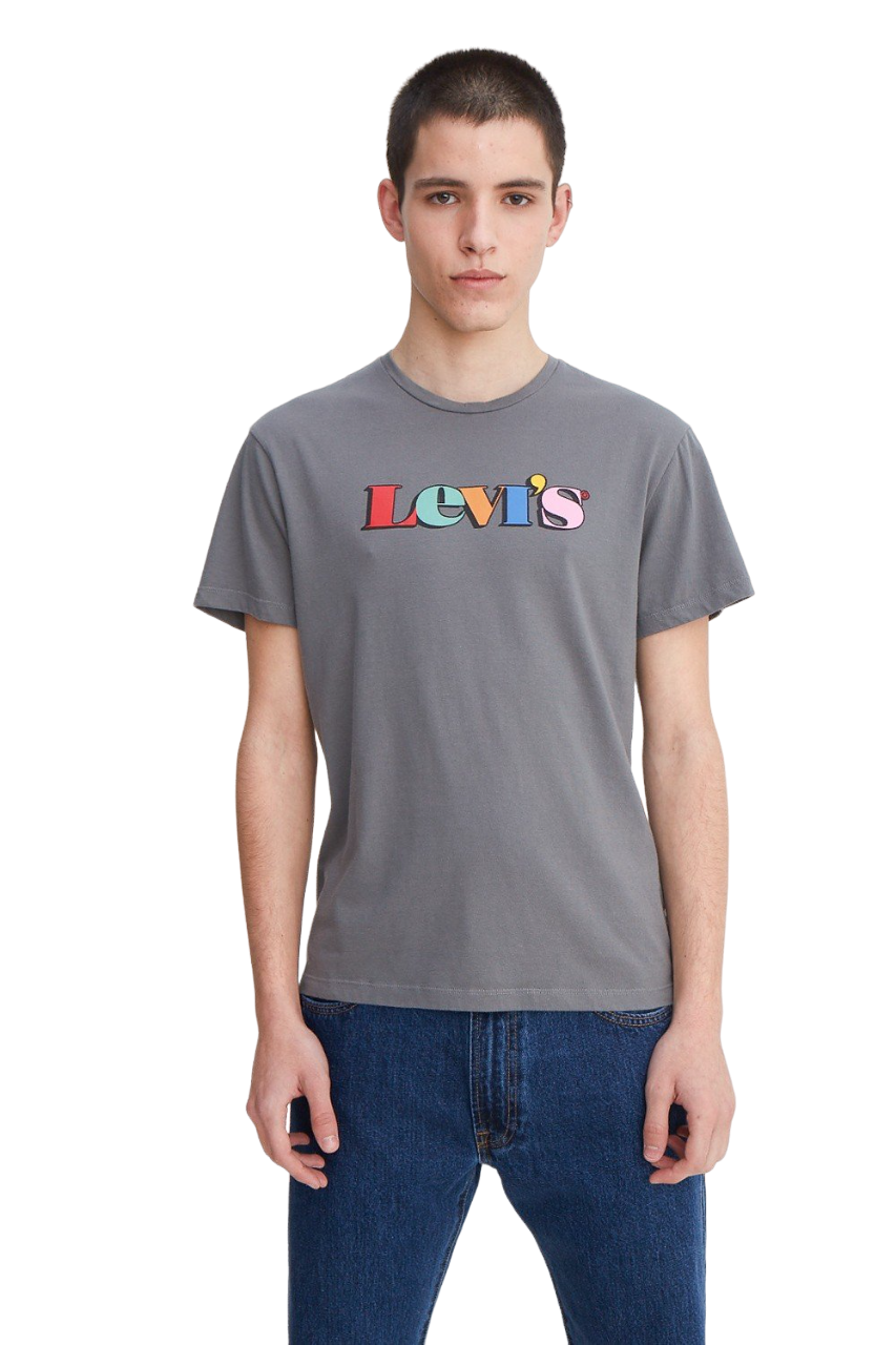 REMERA GRAPHIC SET IN NECK LEVI'S VINTAGE MULTICOLOR