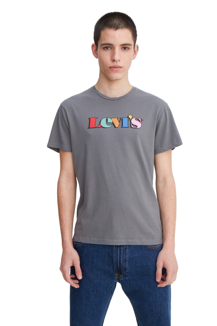 REMERA GRAPHIC SET IN NECK LEVI'S VINTAGE MULTICOLOR