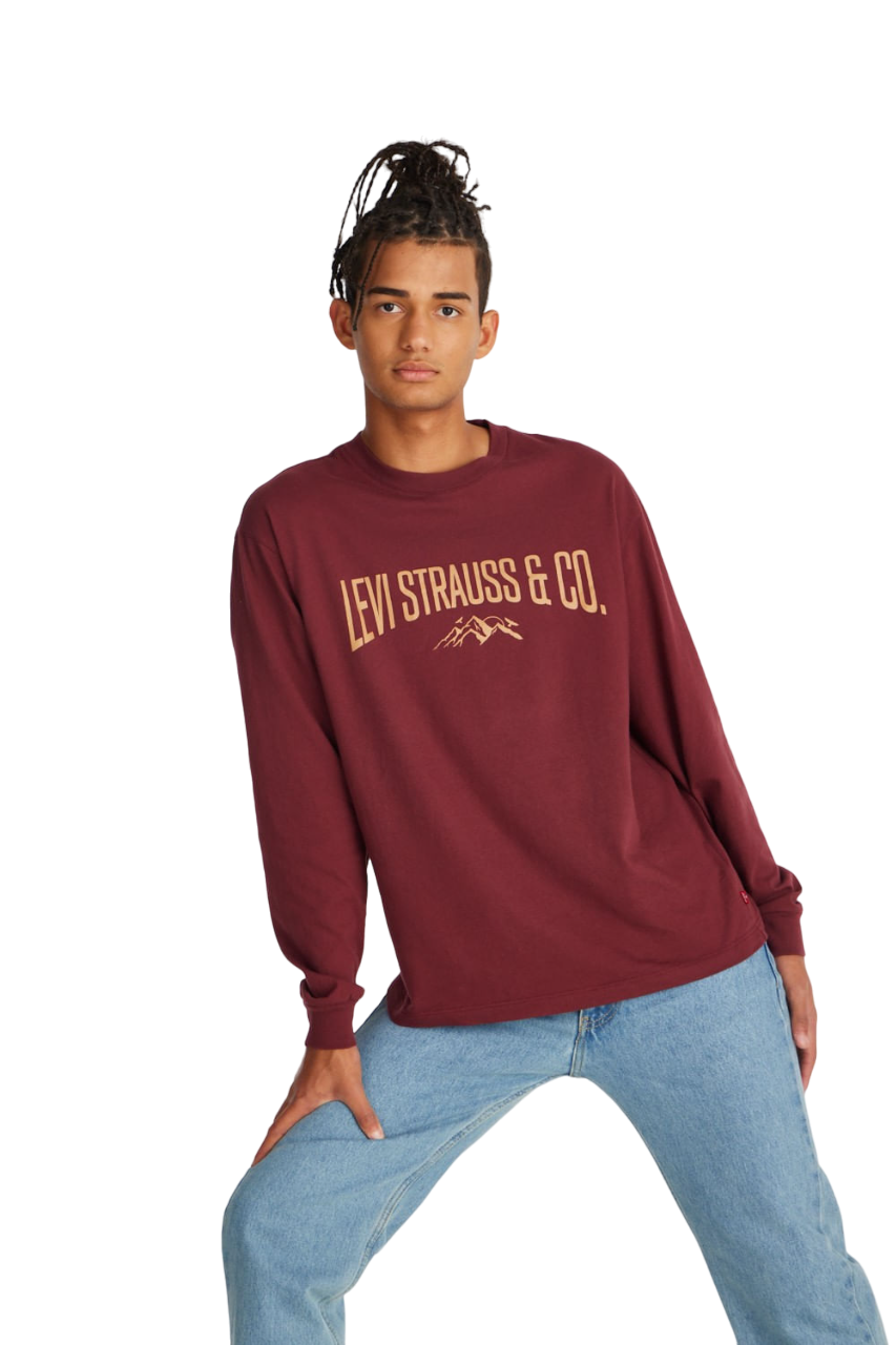 REMERA LS GRAPHIC TEE MAHOGANY