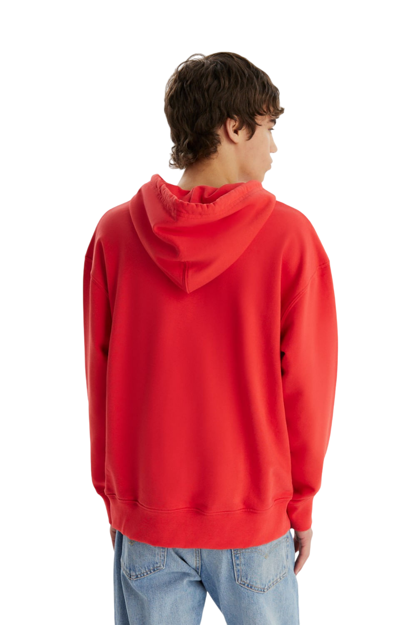 Buzo Relaxed Fit Hoodie Overdye University