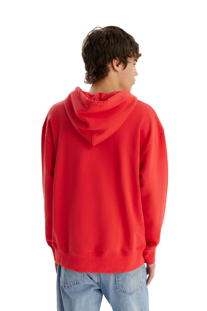 Buzo Relaxed Fit Hoodie Overdye University