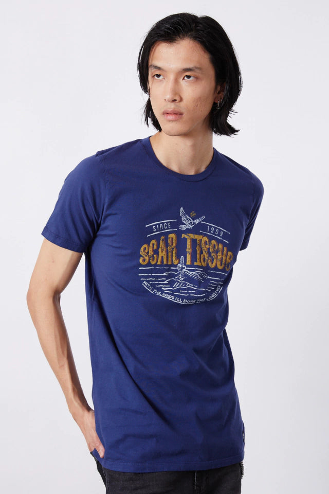 Remera Rhcp Fan Scar Tissue