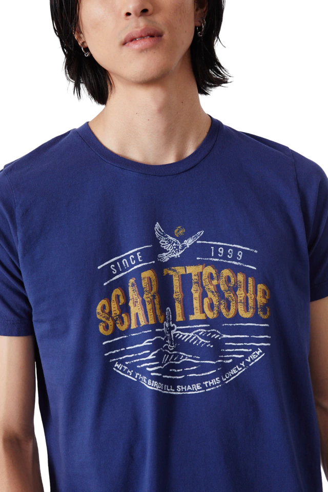 Remera Rhcp Fan Scar Tissue