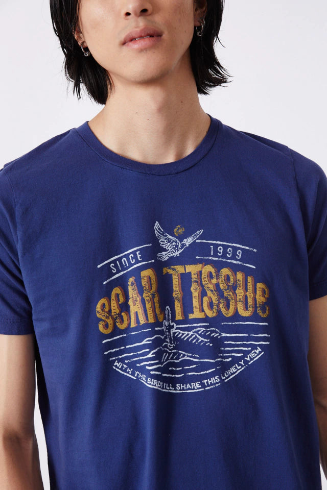 Remera Rhcp Fan Scar Tissue