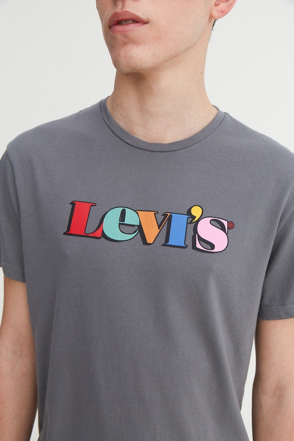 REMERA GRAPHIC SET IN NECK LEVI'S VINTAGE MULTICOLOR